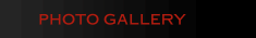 PHOTO GALLERY